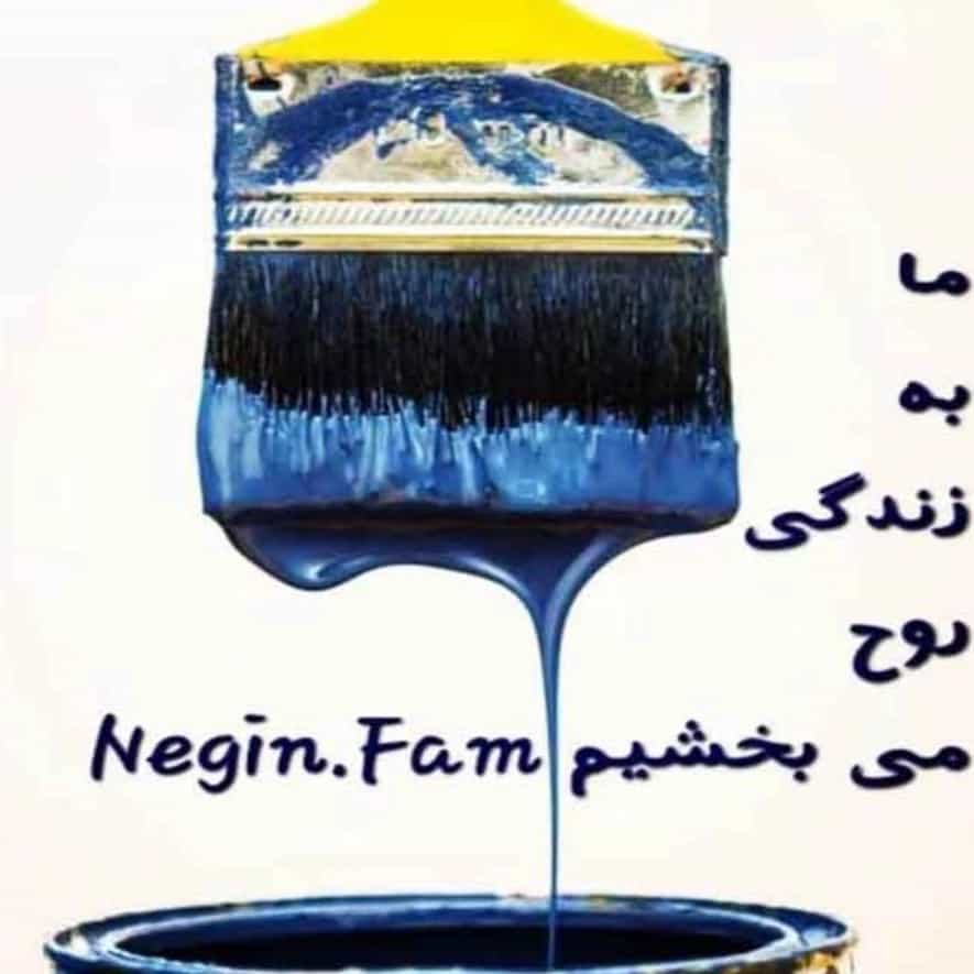 1735363512377.webp